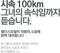 시속 100km 그녀의 속삭임까지 듣습니다. 웨더스트립이 차량의 소음에 완벽 대비합니다. Mr. 웨더스트립이 열심히 밖에서 들어오는 소음과 싸우고 있기 때문입니다. 