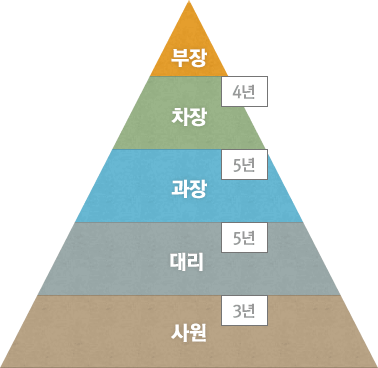 사원(3년), 대리(5년), 과장(5년), 차장(4년), 부장
